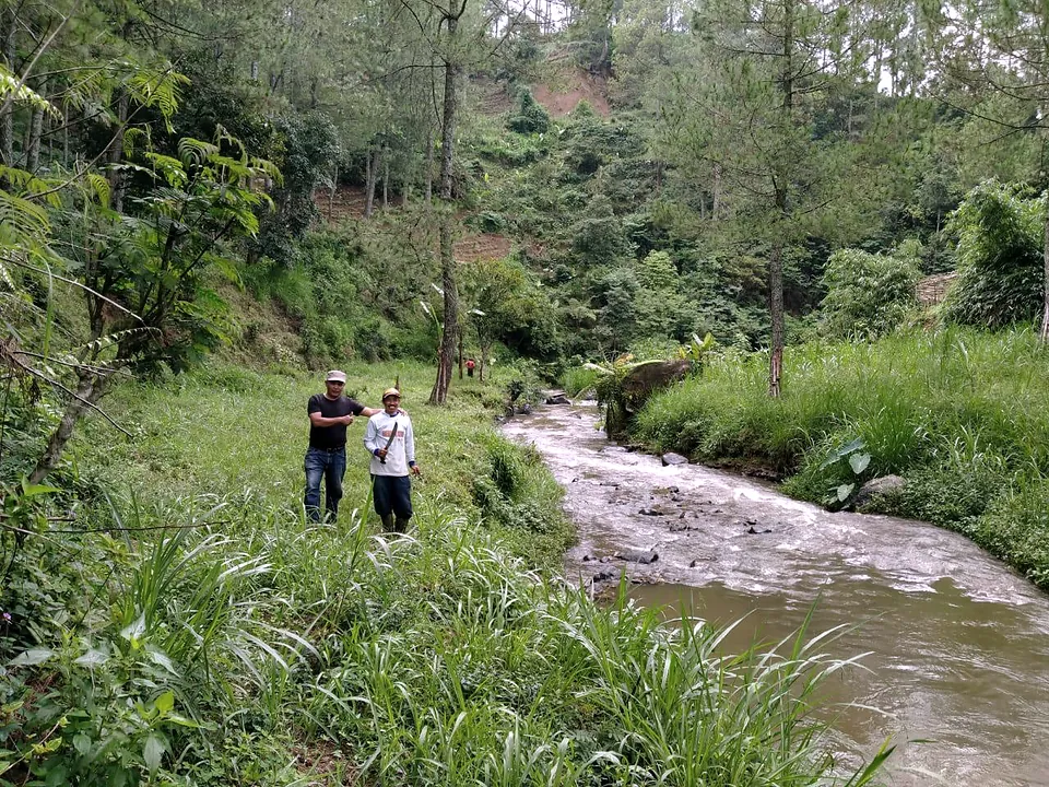 Dua orang berdiri di tepi sungai berarus, di antara rerumputan tinggi dan pepohonan
