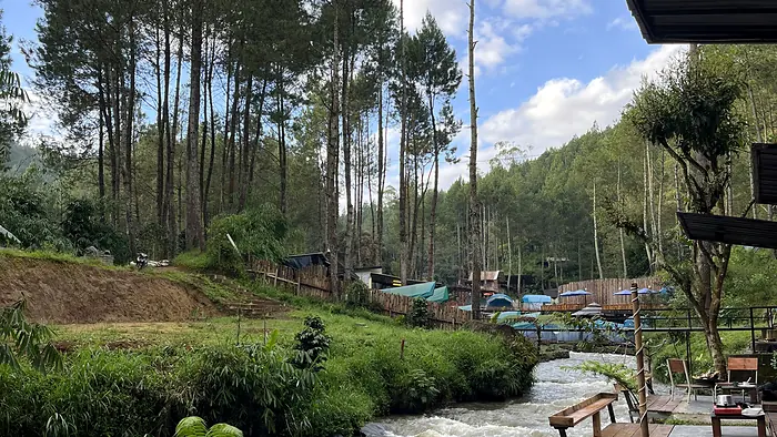 Sungai berarus di antara hutan pinus, dilihat dari deck kayu pada siang hari