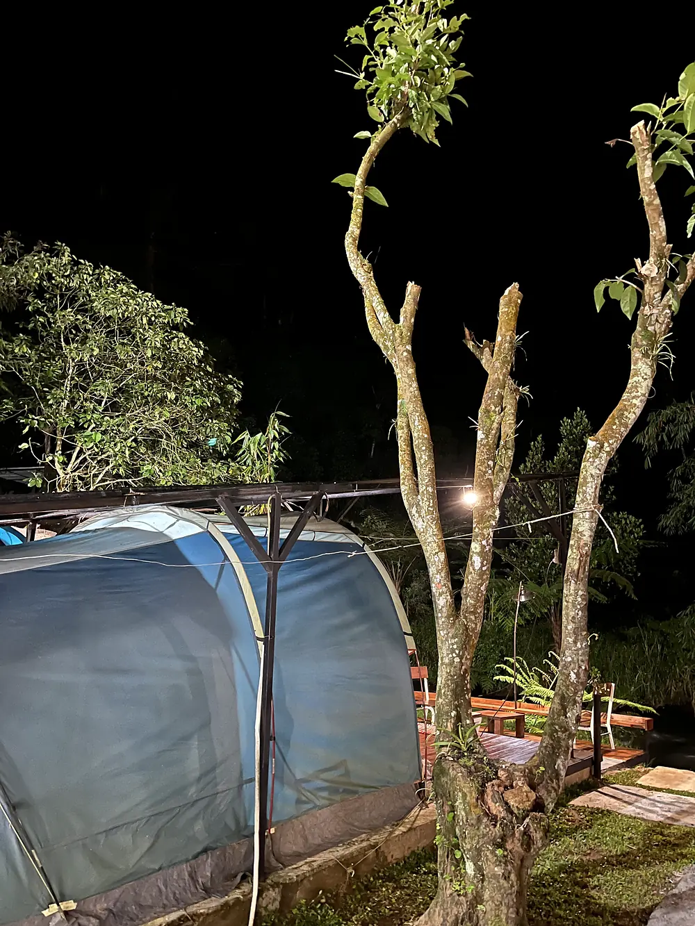 Tenda di antara pepohonan pada malam hari